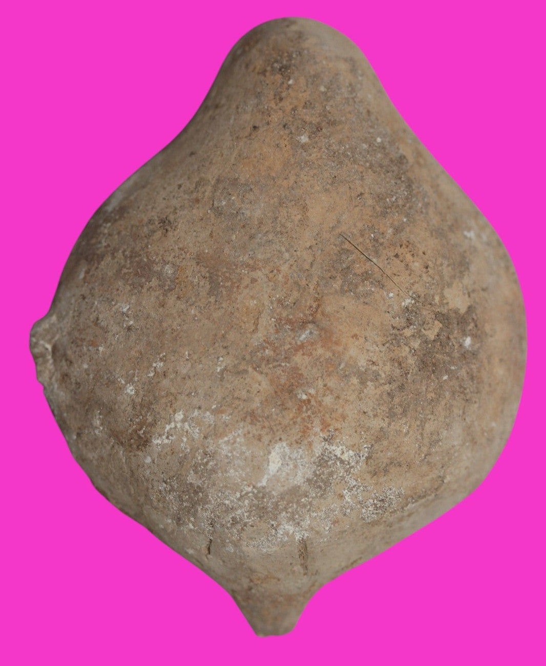 Jesus Christ Homeland Oil Lamp Authentic Holy Land Artifact 100-400 AD COA J111