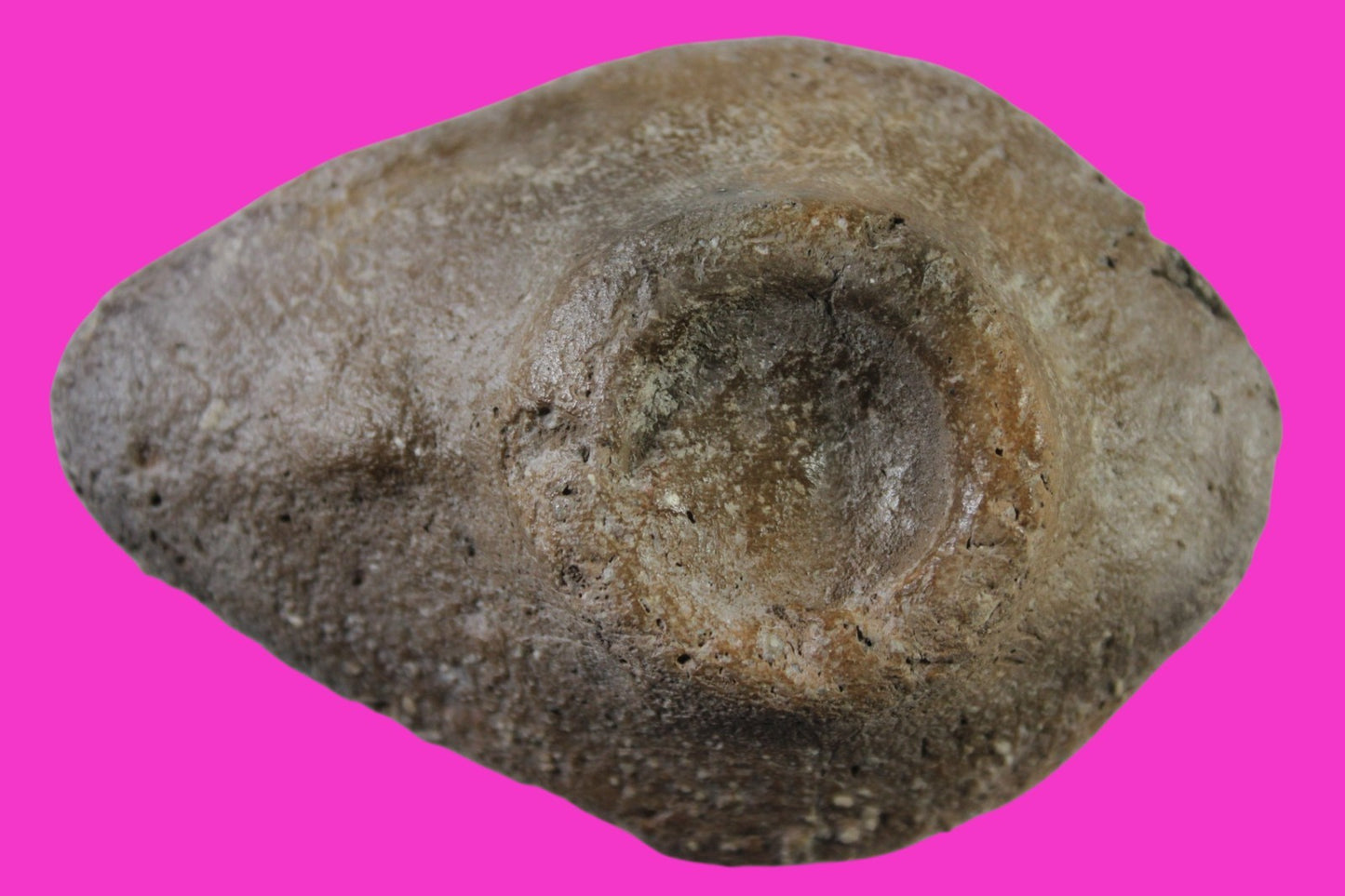 Jesus Christ Homeland Oil Lamp Authentic Holy Land Artifact 100 - 400 AD COA L09