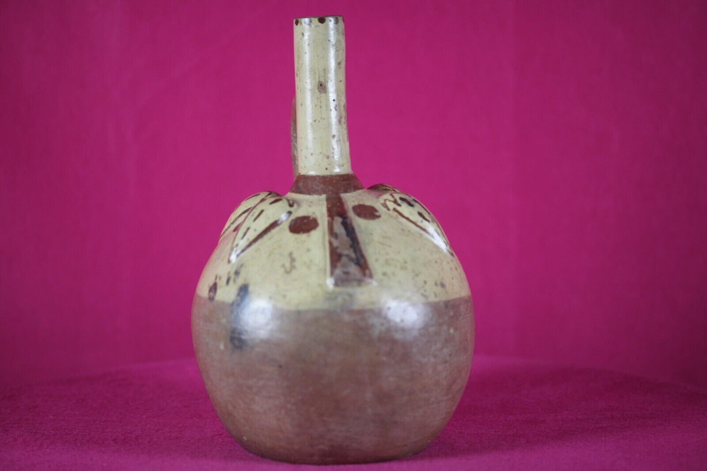 Authentic Pre Columbian Artifact Fruit Vessel Moche Ex Arte Primitivo COA T107