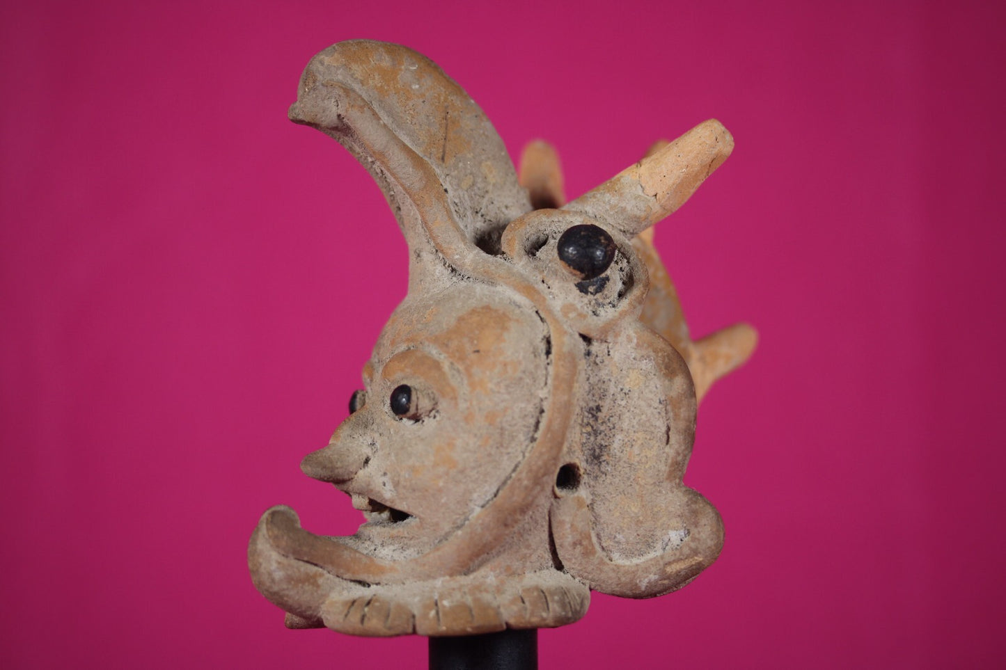 Ex Actor Kirk Douglas Authentic Pre Columbian Artifact Veracruz Helmet COA T112