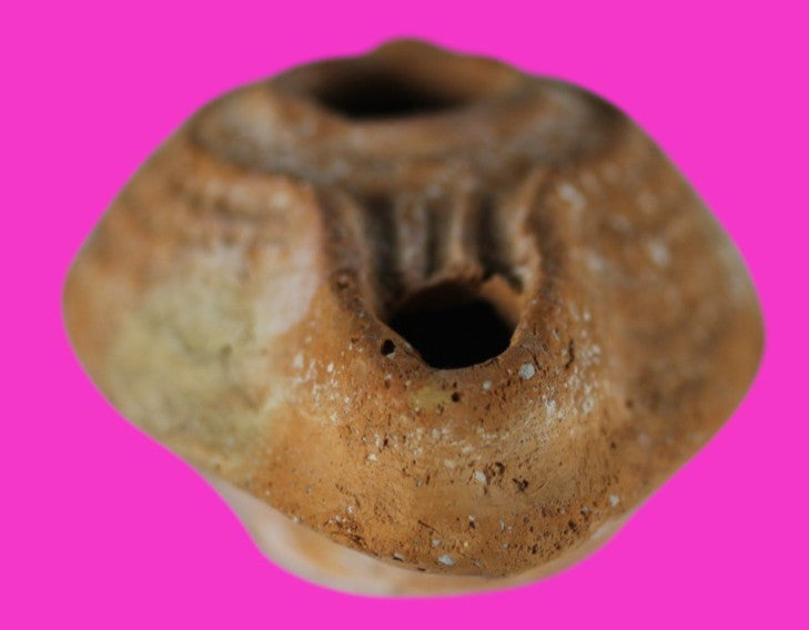Jesus Christ Homeland Oil Lamp Authentic Holy Land Artifact 100 - 400 AD COA L02
