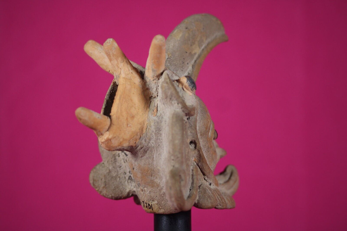 Ex Actor Kirk Douglas Authentic Pre Columbian Artifact Veracruz Helmet COA T112