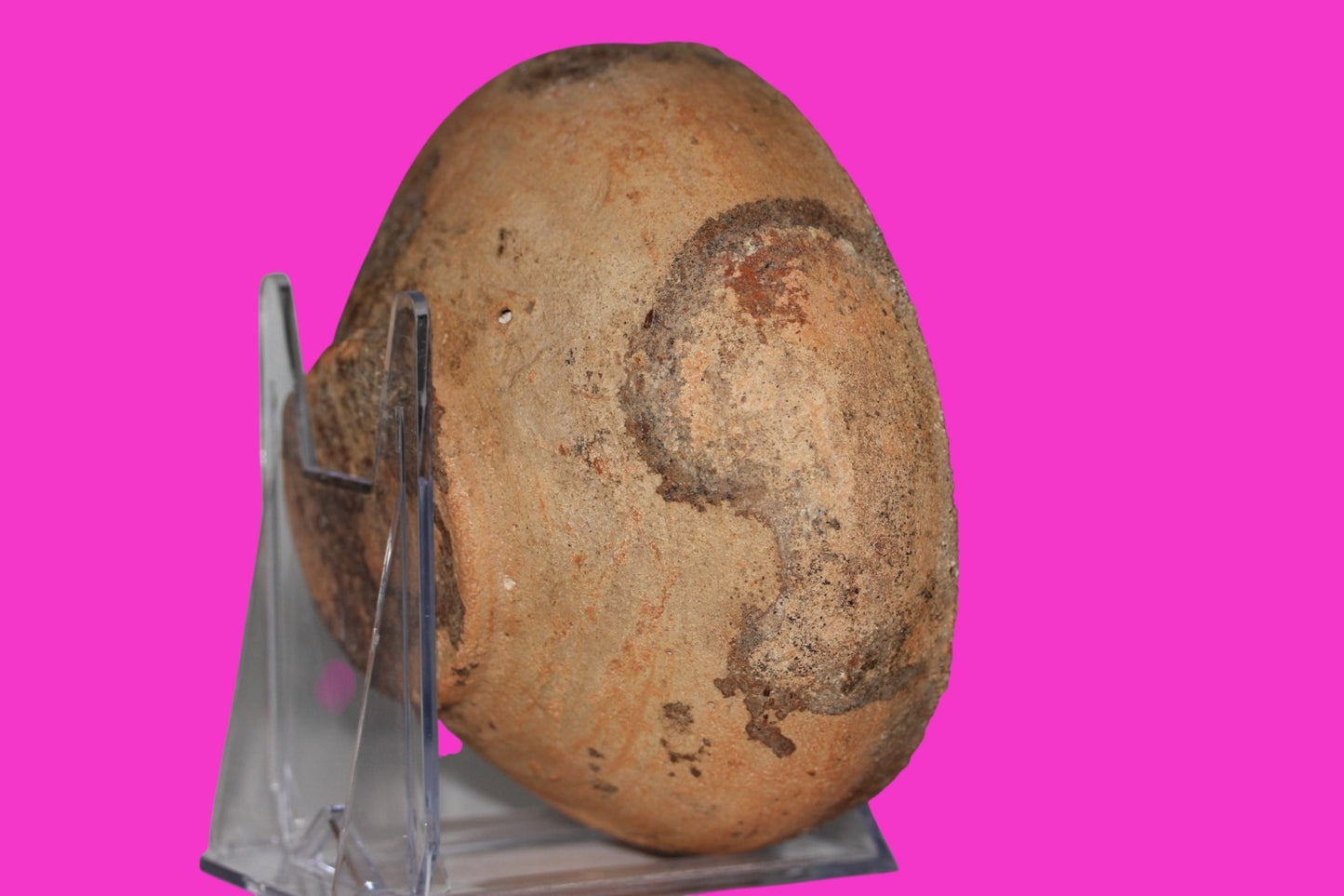 Holy Land Artifact Authentic 4000 Year Old Bowl Time of Abraham 2000 BC COA J126