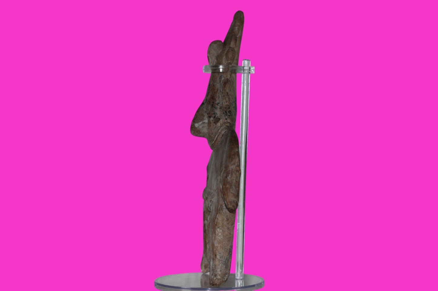 Pre Columbian Authentic Artifact Archaic Shaman Tomb Figure Colima Mexico COA 20