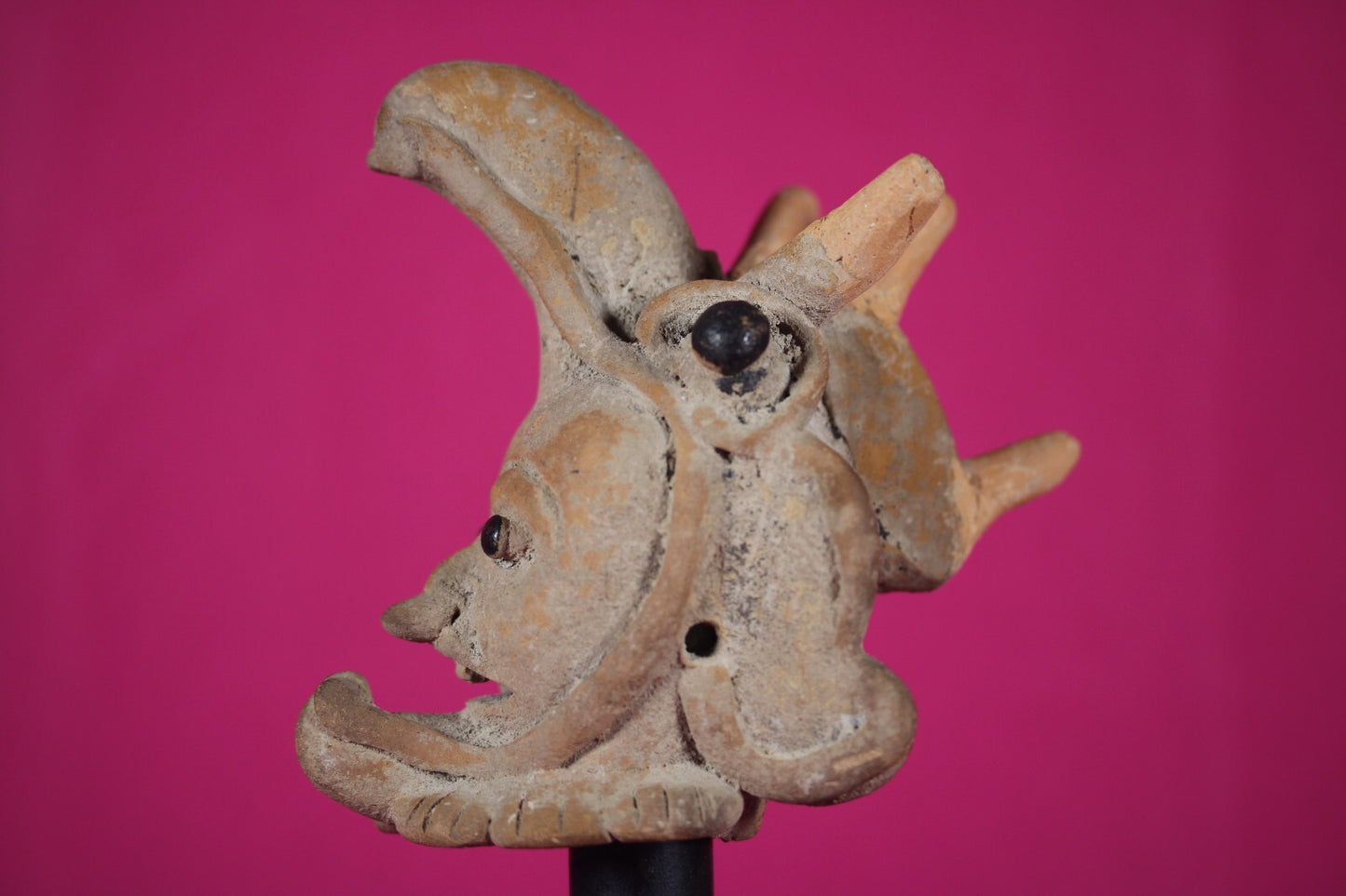 Ex Actor Kirk Douglas Authentic Pre Columbian Artifact Veracruz Helmet COA T112
