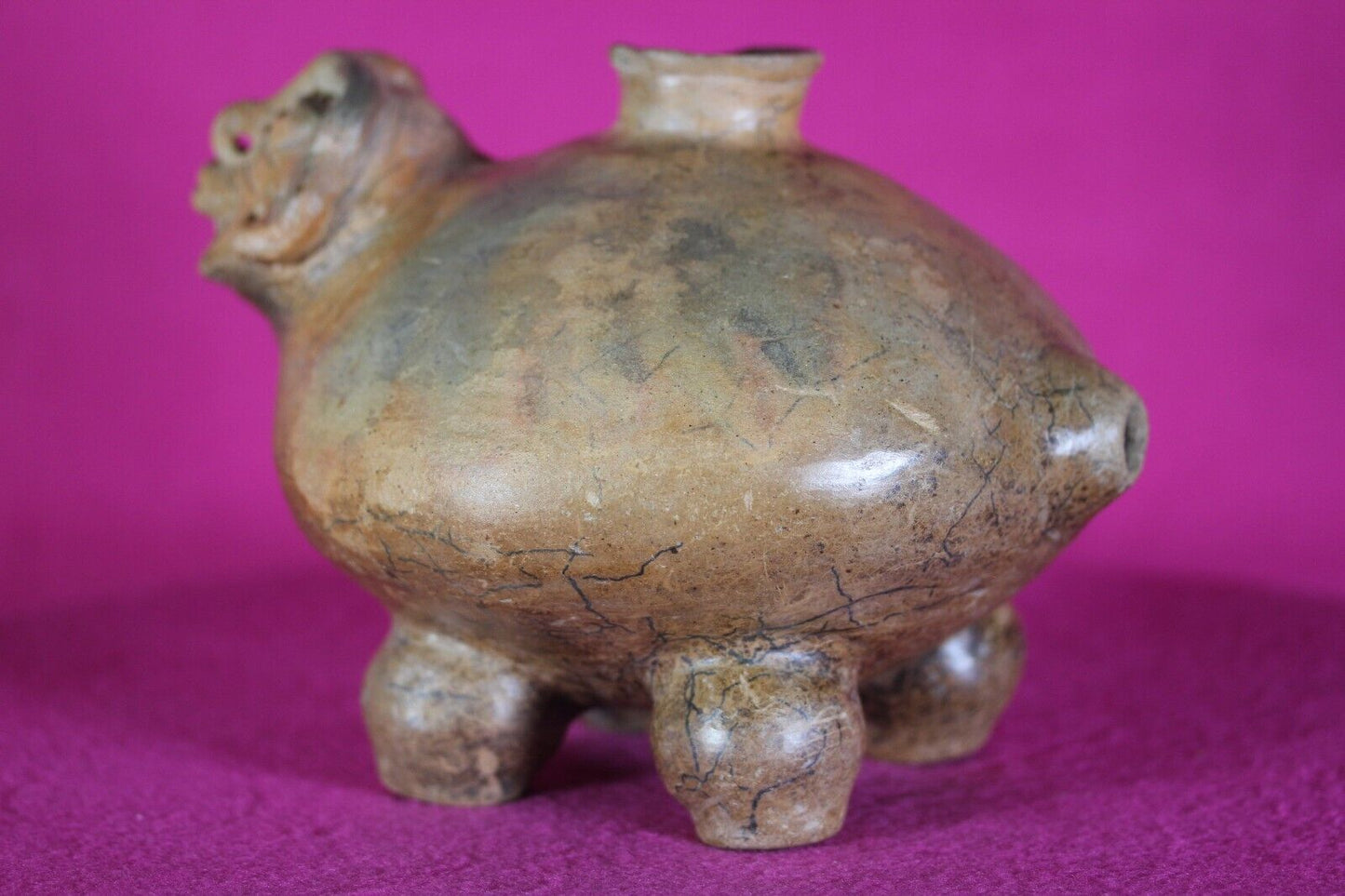 Authentic Pre Columbian Artifact Effigy Jar Calima Ex Arte Primitivo COA T30