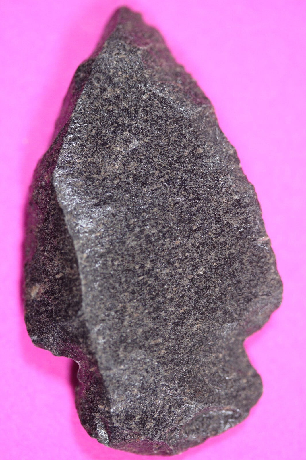 Authentic Pre Columbian Artifact Aztec Arrowhead Battle of Mexico City COA 12