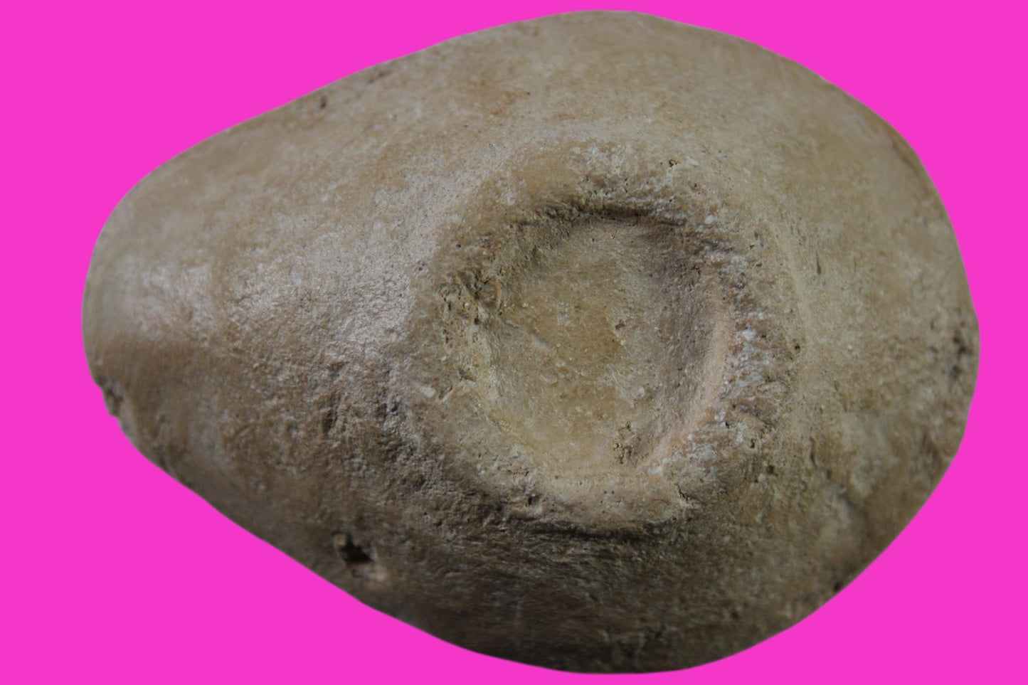 Jesus Christ Homeland Oil Lamp Authentic Holy Land Artifact 100 - 400 AD COA L12