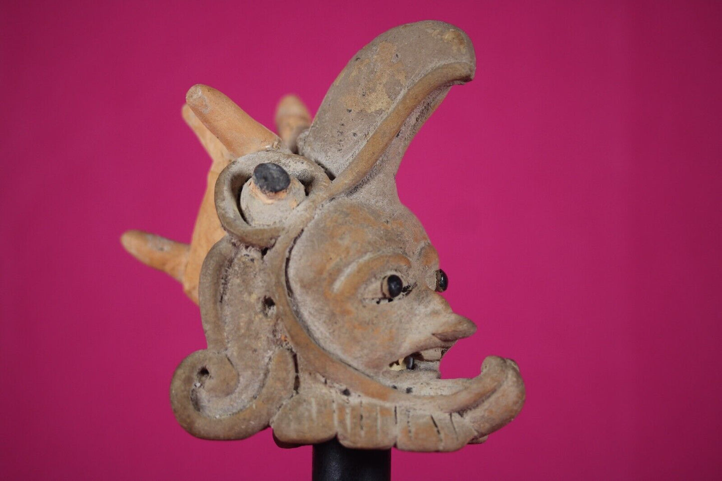 Ex Actor Kirk Douglas Authentic Pre Columbian Artifact Veracruz Helmet COA T112
