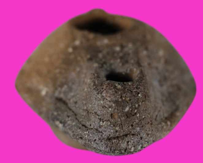 Ancient Holy Land Oil Lamp Artifact Jesus Christ Homeland 100 - 400 AD COA L09