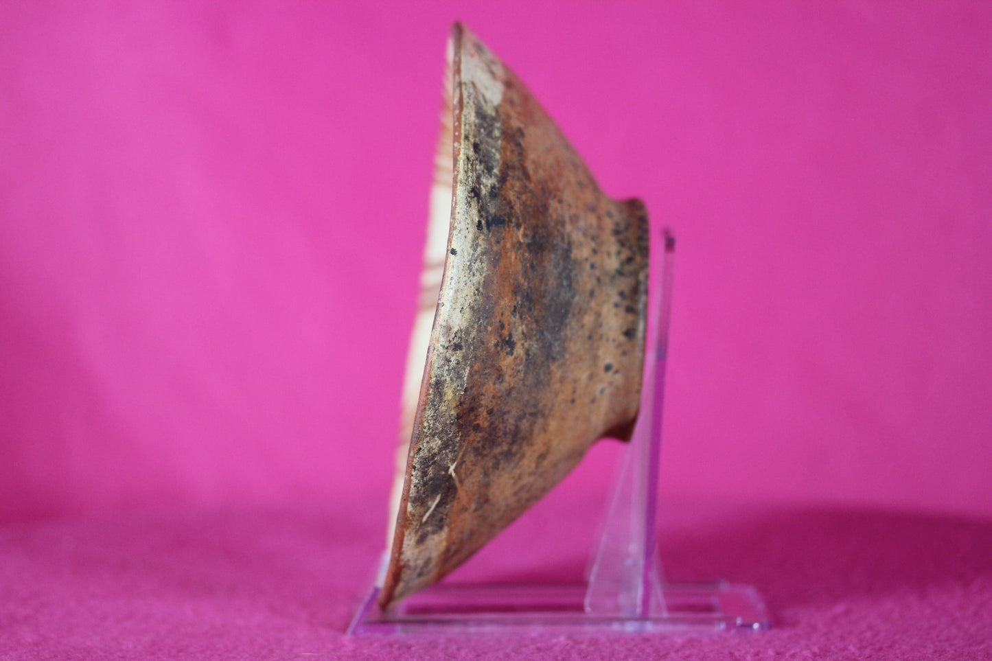 Authentic Pre Columbian Artifact Decorated Bowl Cajamarca Peru Pre Inca COA 206