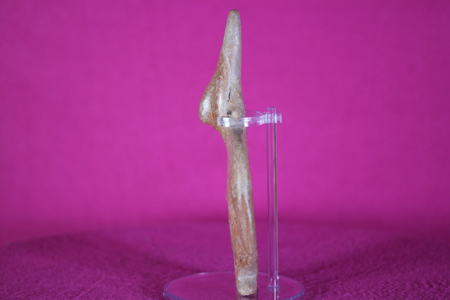 Authentic Pre Columbian Artifact Tomb Figure Colima Mexico 200 BC-500 AD COA B51