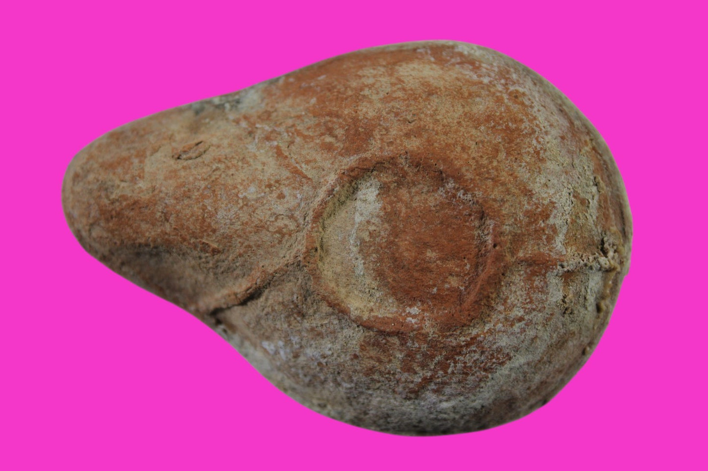 Jesus Christ Homeland Oil Lamp Authentic Holy Land Artifact 100 - 400 AD COA L03