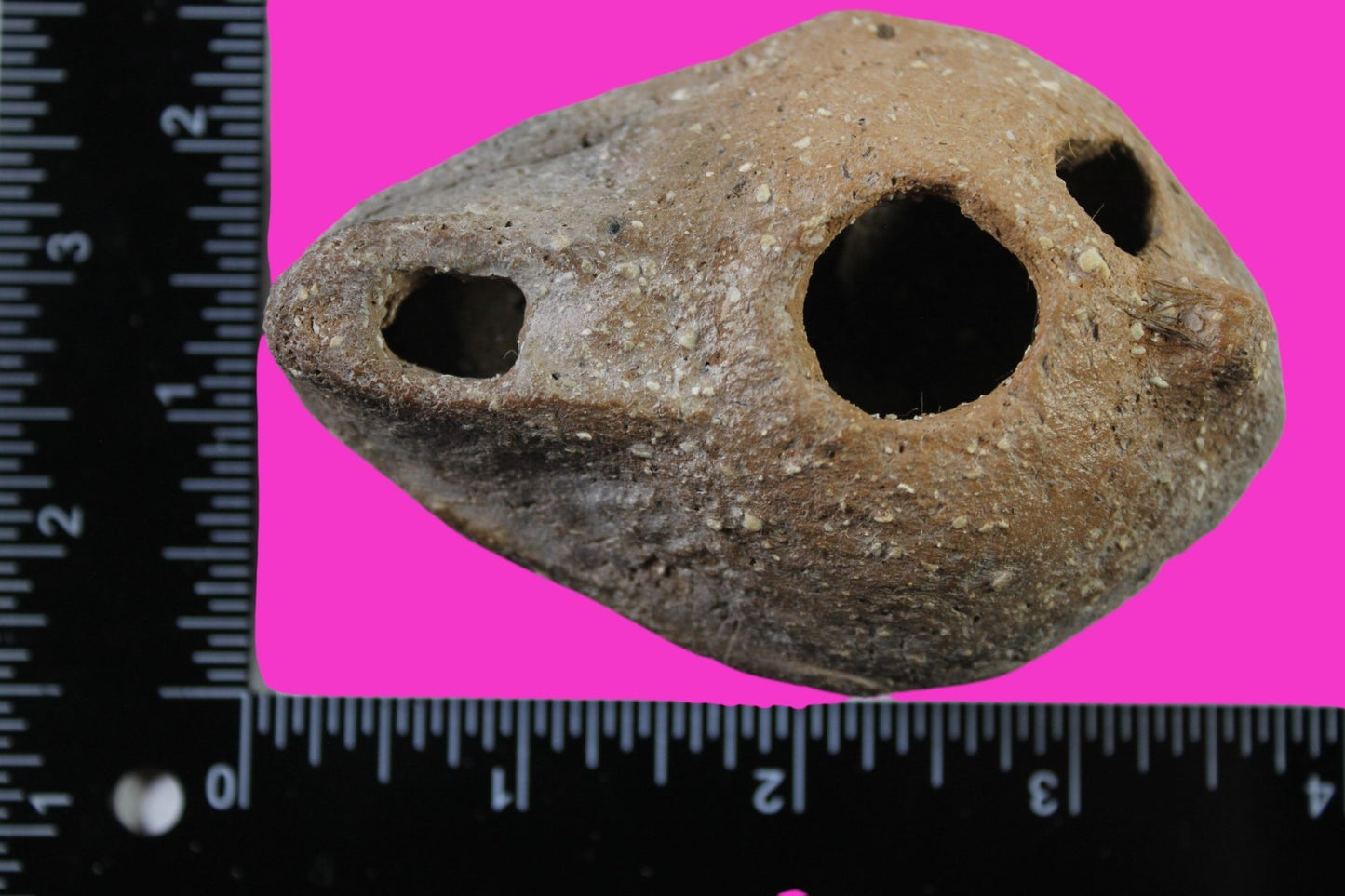 Jesus Christ Homeland Oil Lamp Authentic Holy Land Artifact 100 - 400 AD COA L09