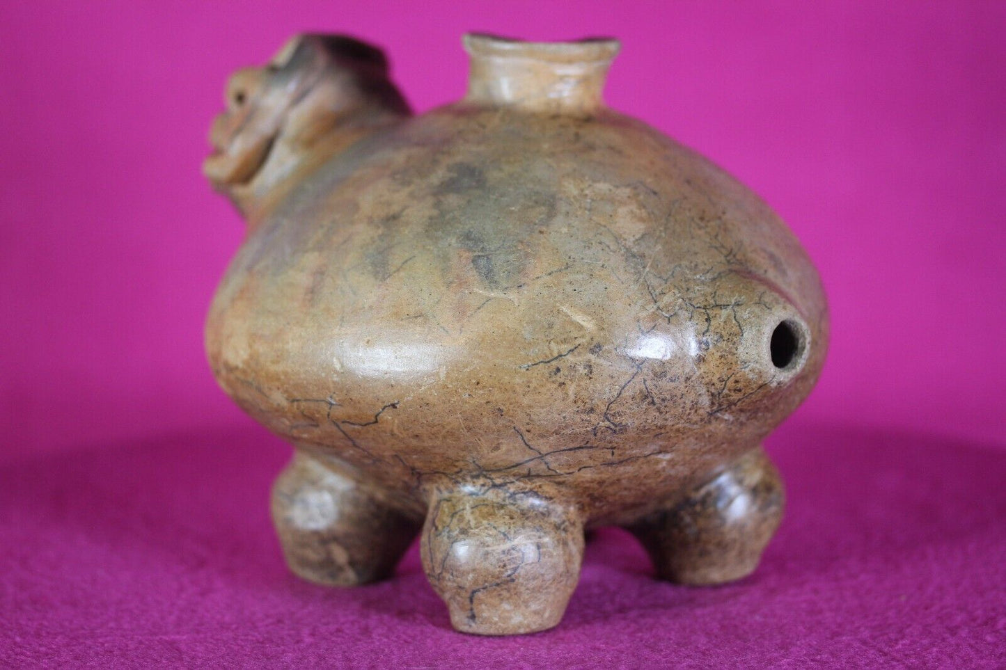 Authentic Pre Columbian Artifact Effigy Jar Calima Ex Arte Primitivo COA T30