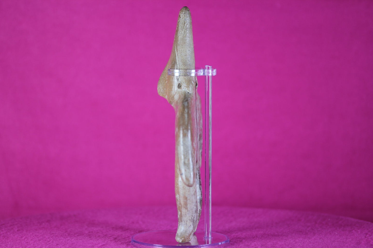Authentic Pre Columbian Artifact Tomb Figure Colima Mexico 300BC-300AD COA T17