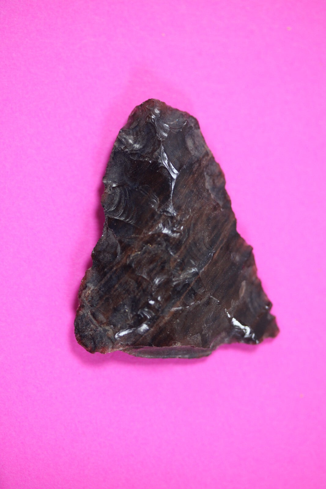 Authentic Pre Columbian Artifact Aztec Arrowhead Battle of Mexico City COA 60