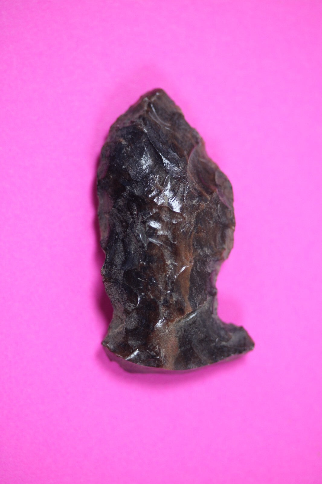 Authentic Pre Columbian Artifact Aztec Arrowhead Battle of Mexico City COA 54
