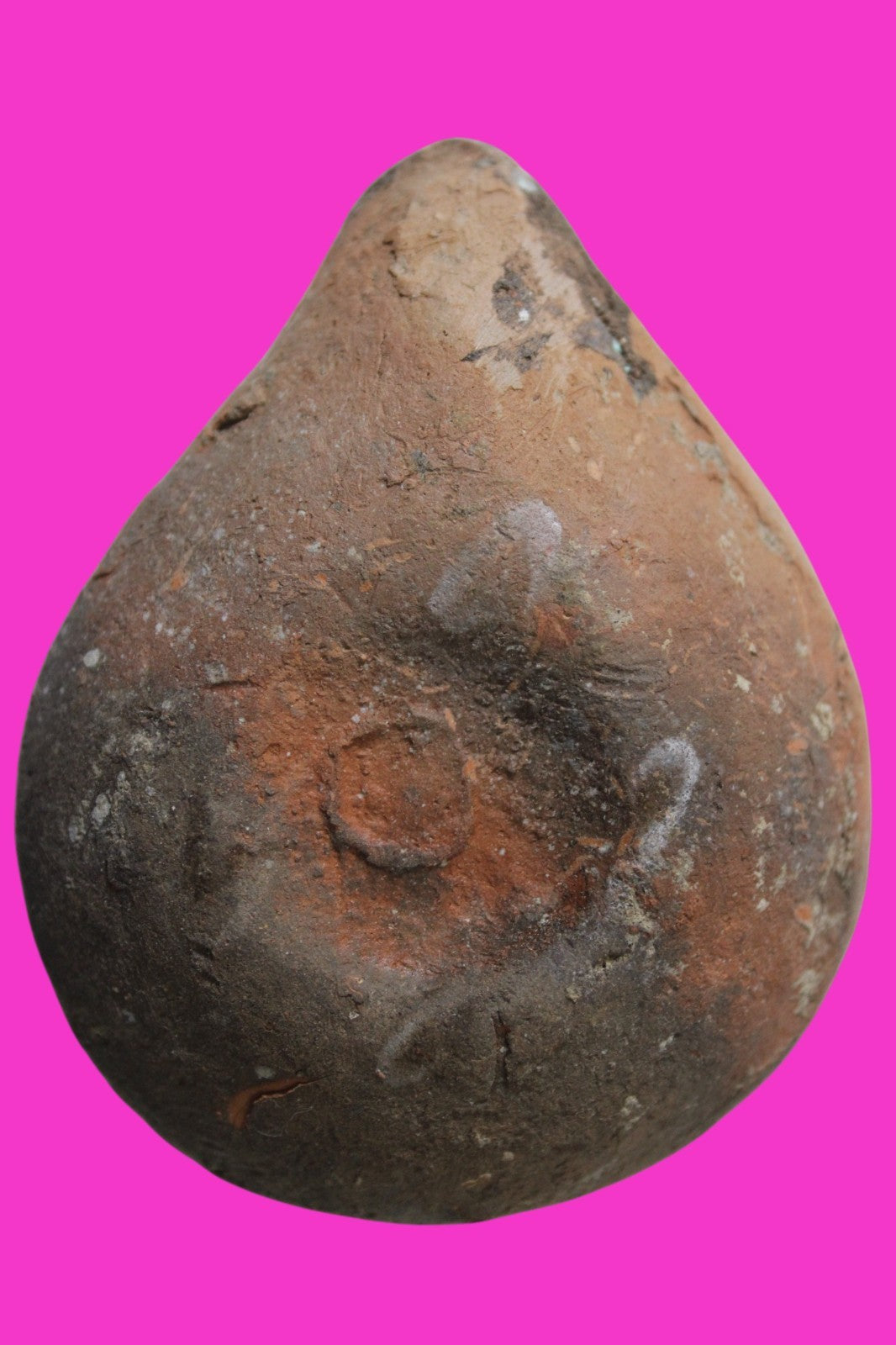 Ancient Holy Land Oil Lamp Artifact Jesus Christ Homeland 100BC-400AD COA 21