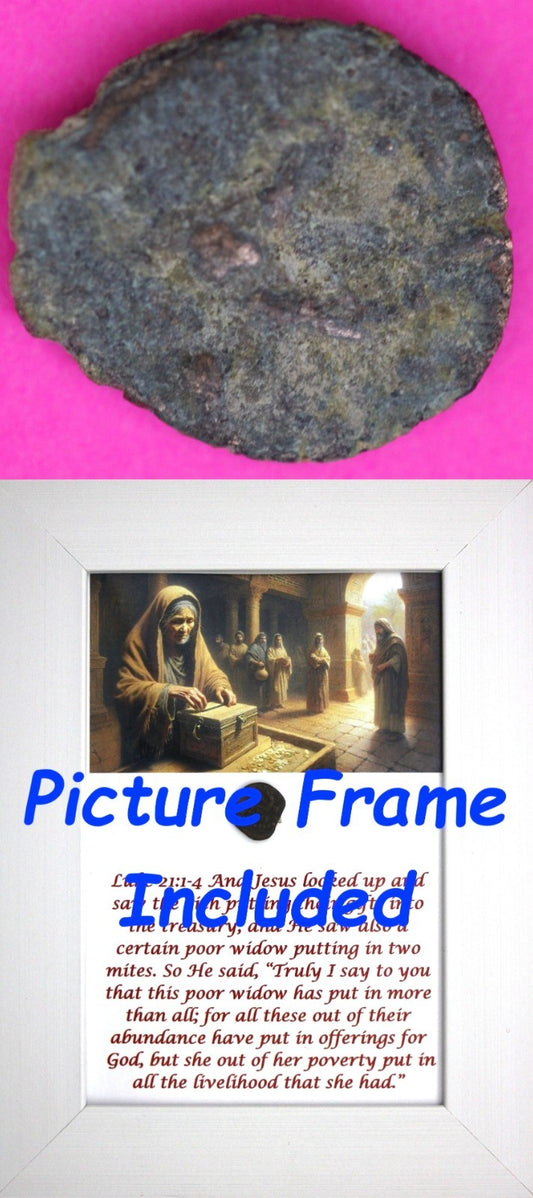 Widows Mite Coin Holy Land Artifact Jesus Christ Lifetime Display Frame COA 339