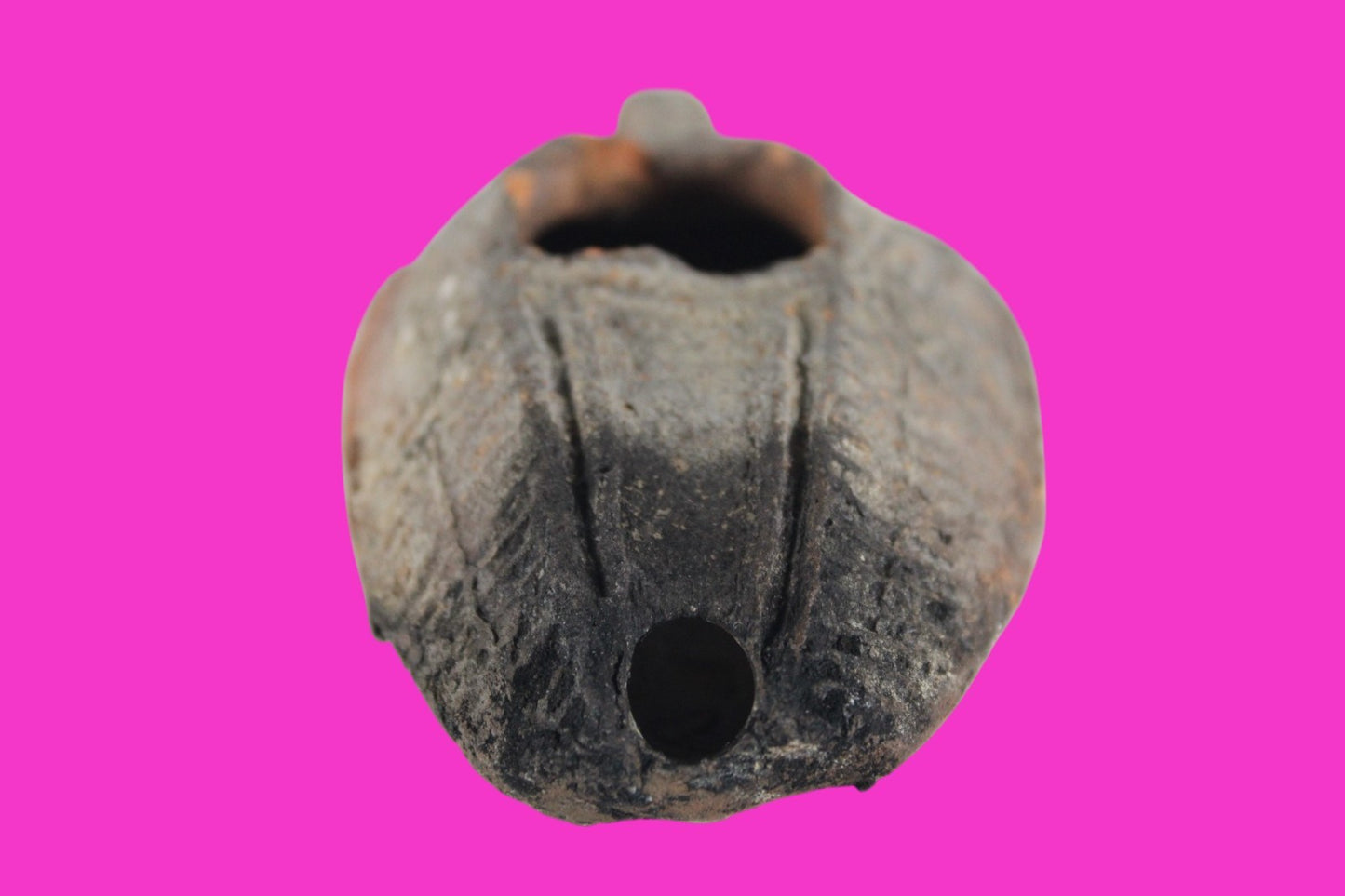 Ancient Holy Land Oil Lamp Artifact Jesus Christ Home 300-600 AD Israel COA 109