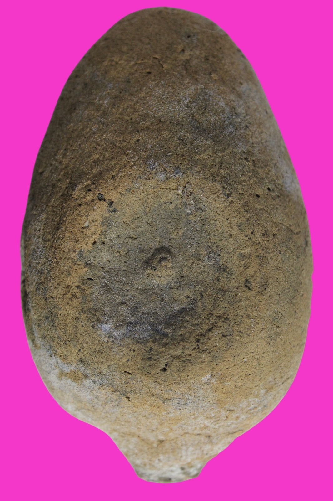 Very Big Ancient Holy Land Oil Lamp Artifact Jesus Christ Home 300-600 AD COA 93