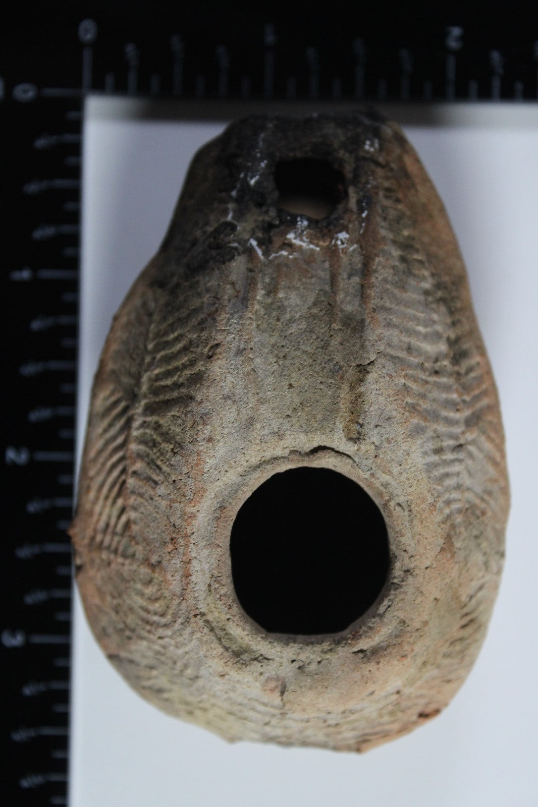 Ancient Holy Land Oil Lamp Artifact Jesus Christ Home 300-600 AD Israel COA 96