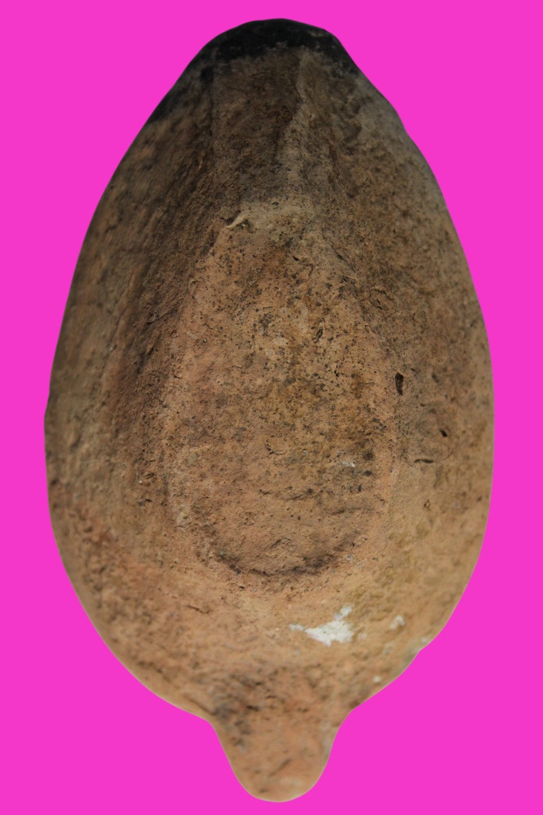 Ancient Holy Land Oil Lamp Artifact Jesus Christ Home 300-600 AD Israel COA 94