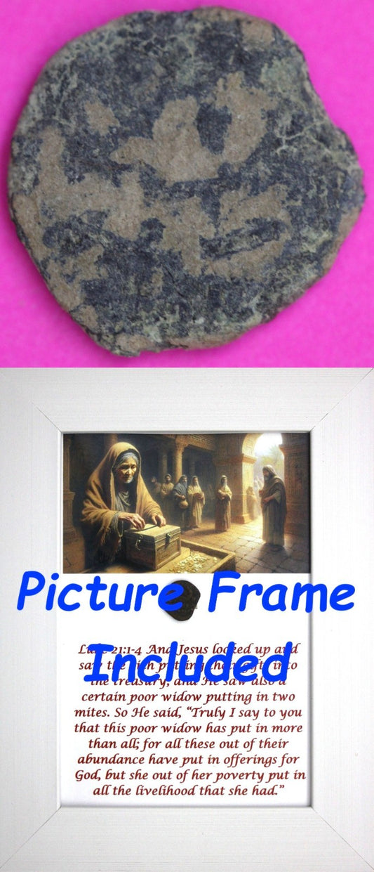 Widows Mite Coin Holy Land Artifact Jesus Christ Lifetime Display Frame COA 326
