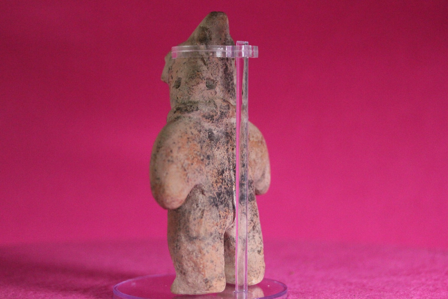 Pre Columbian Artifact Authentic Tomb Figure Colima Ex Arte Primitivo COA T86