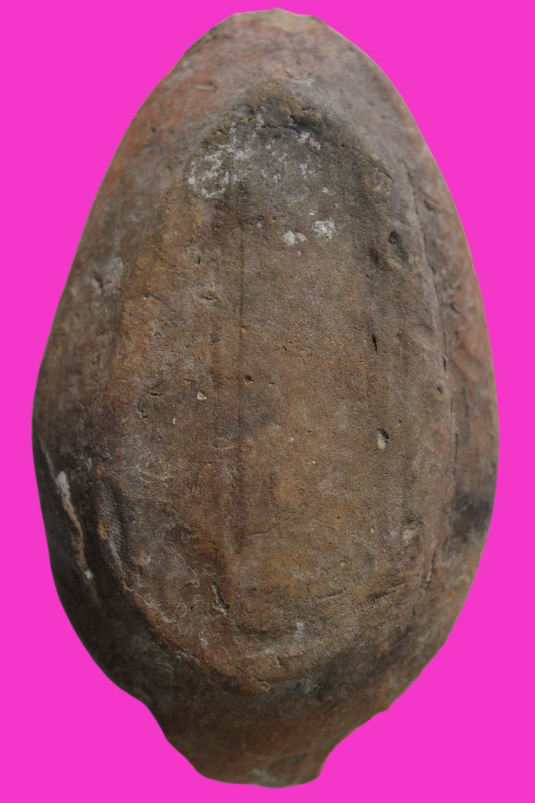 Ancient Holy Land Oil Lamp Artifact Jesus Christ Homeland 100BC-400AD COA 13