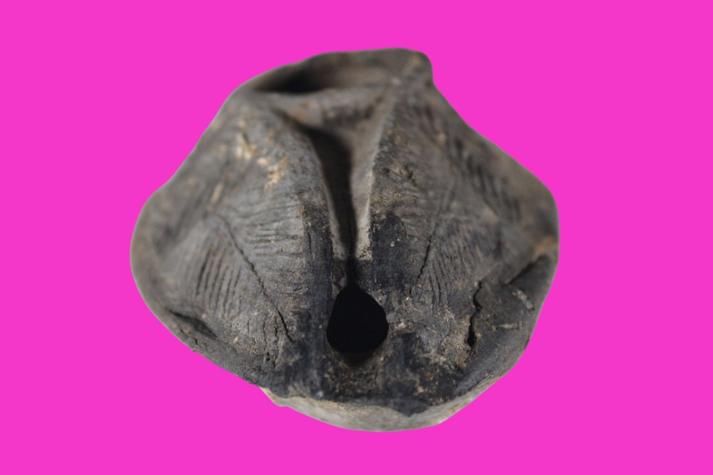 Ancient Holy Land Oil Lamp Artifact Jesus Christ Home 300-600 AD Israel COA 95