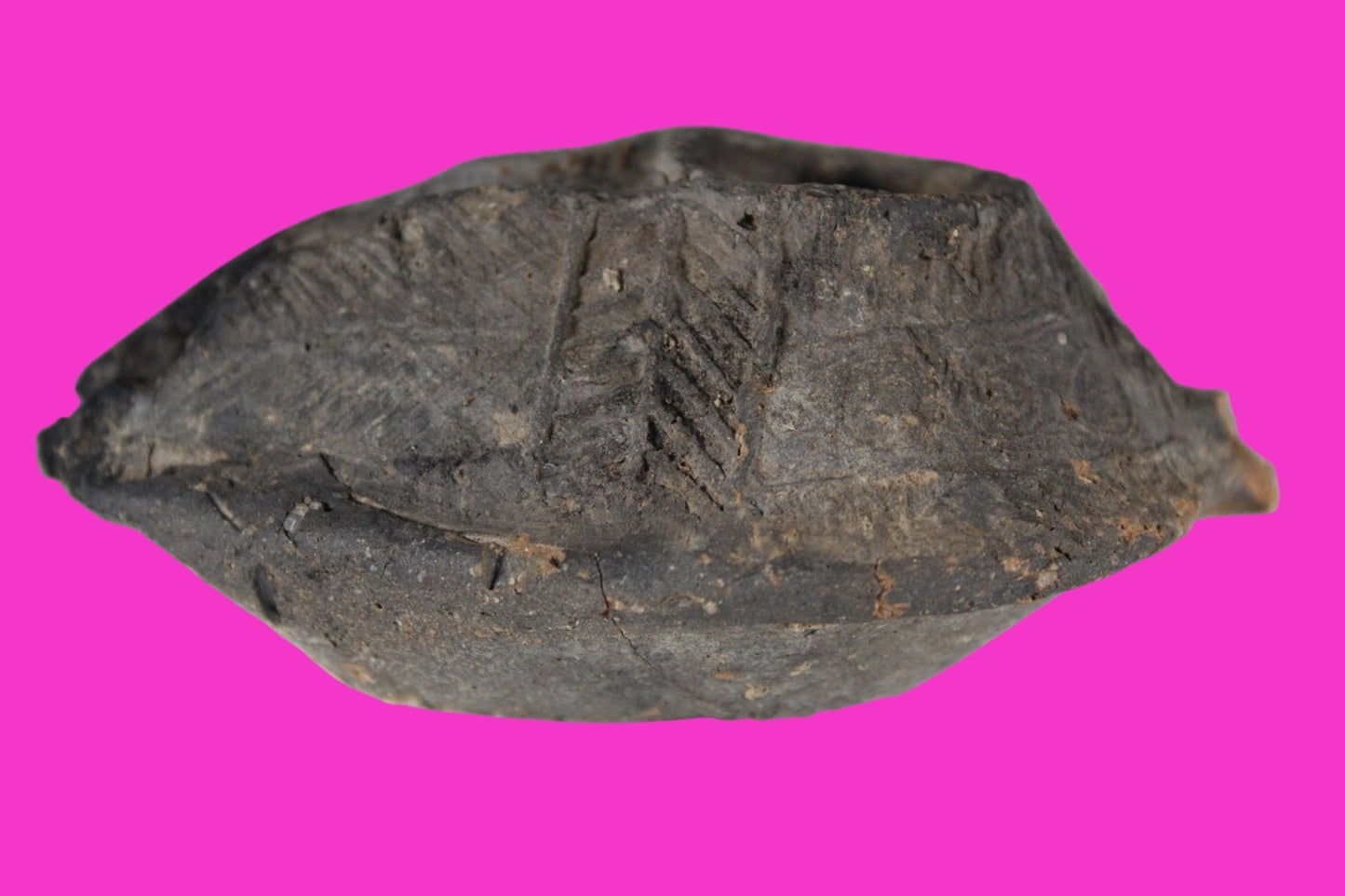 Ancient Holy Land Oil Lamp Artifact Jesus Christ Home 300-600 AD Israel COA 95