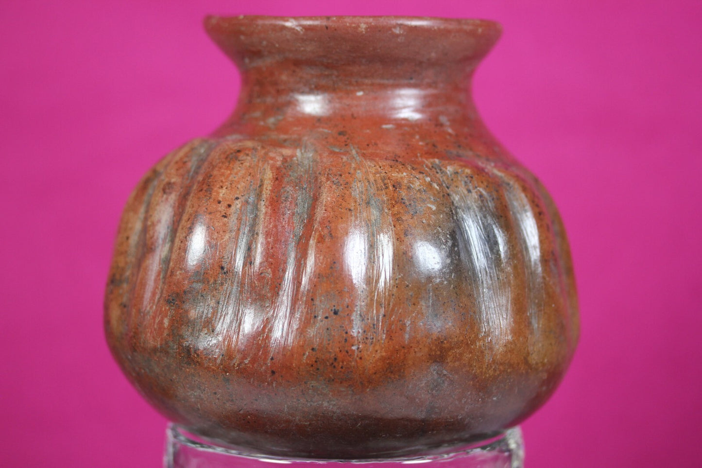 Pre Columbian Artifact Colima 300 BC-300 AD Gadrooned Jar Authentic COA J14