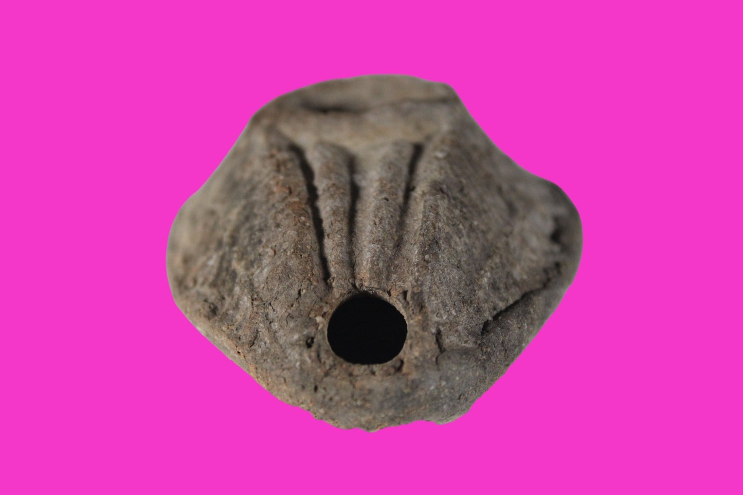 Ancient Holy Land Oil Lamp Artifact Jesus Christ Home Israel 300-600 AD COA 90