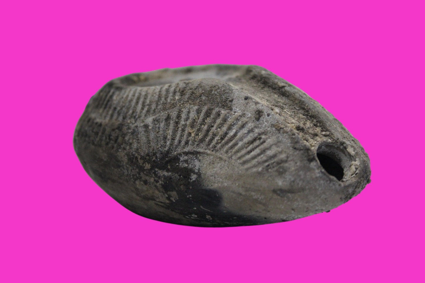 Ancient Holy Land Oil Lamp Artifact From Jesus Christ Home Land 100-500AD COA 61