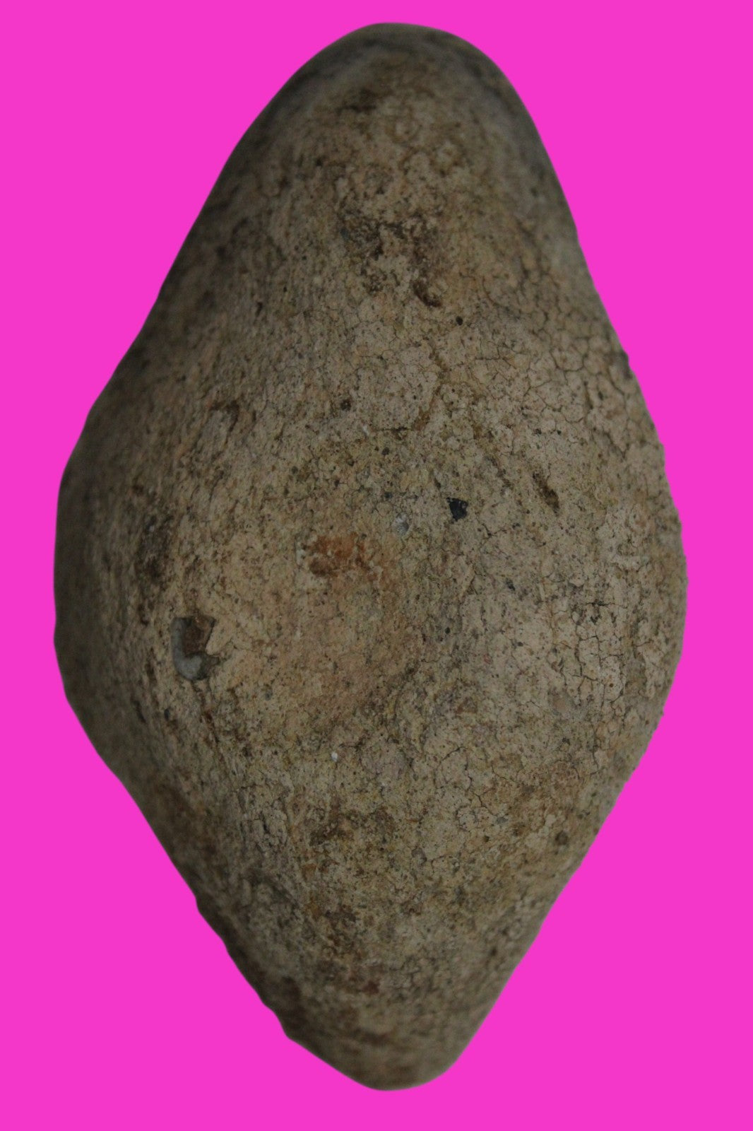 Ancient Holy Land Oil Lamp Artifact  From Jesus Christ Homeland 400-600AD COA 40