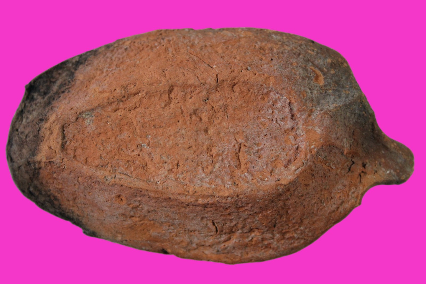 Ancient Holy Land Oil Lamp Artifact Jesus Christ Home 300-600 AD Israel COA 109