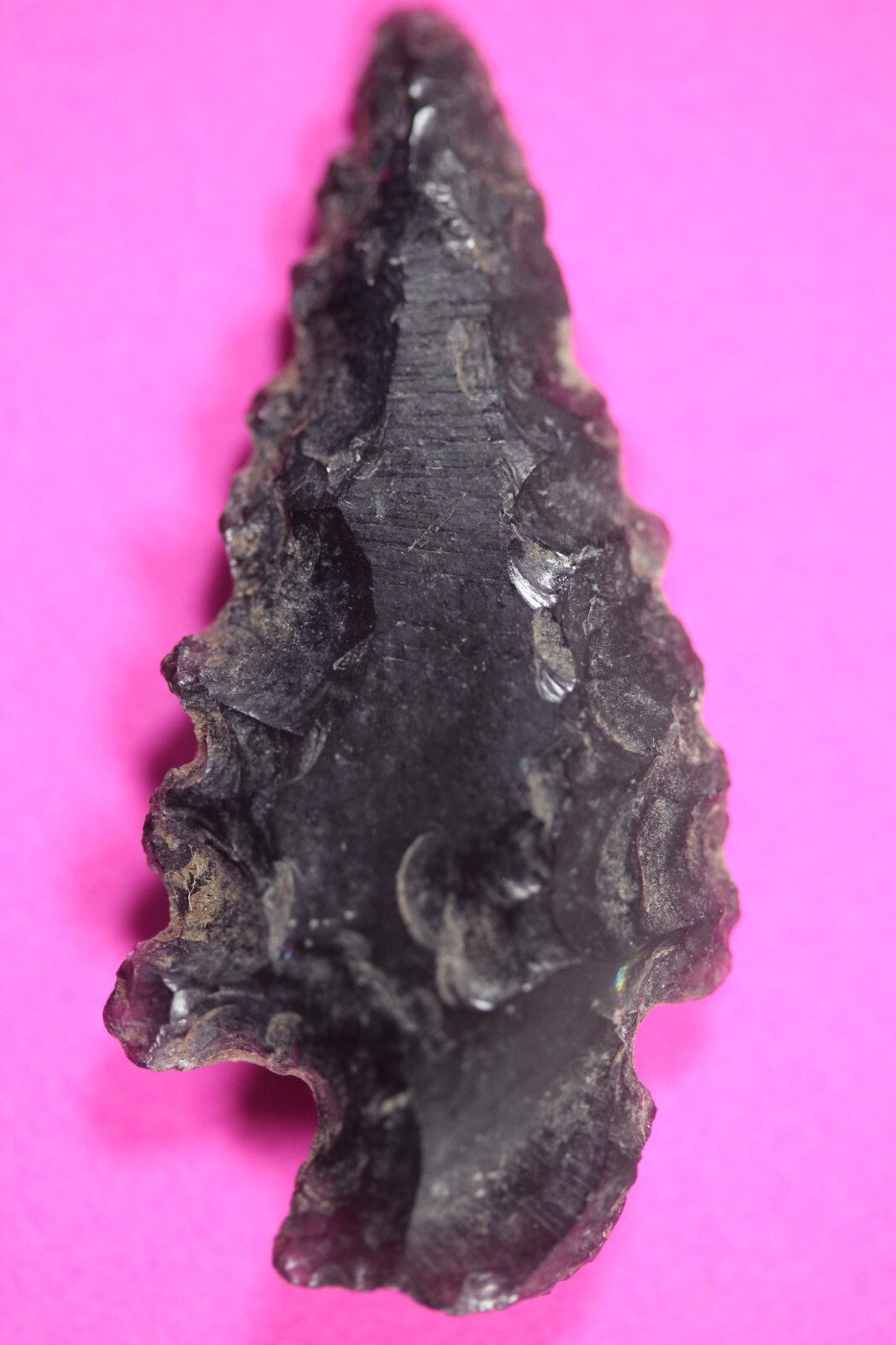 Authentic Pre Columbian Artifact Aztec Arrowhead Battle of Mexico City COA 06