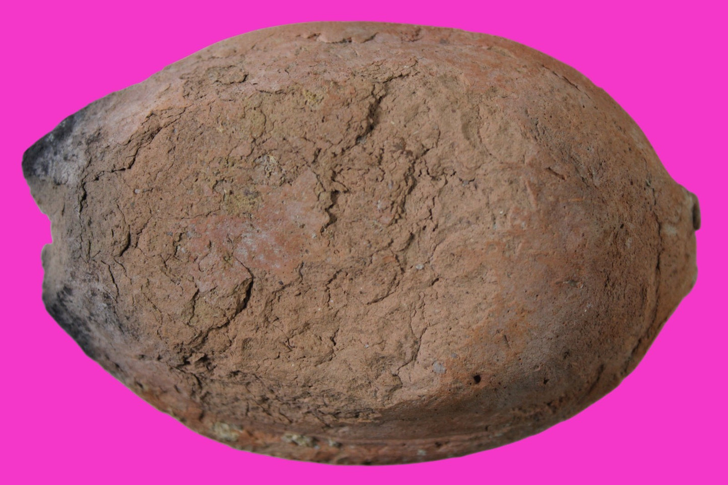 Ancient Holy Land Oil Lamp Artifact Jesus Christ Home 300-600 AD Israel COA 110