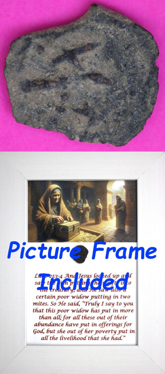 Widows Mite Coin Holy Land Artifact Jesus Christ Lifetime Display Frame COA 340