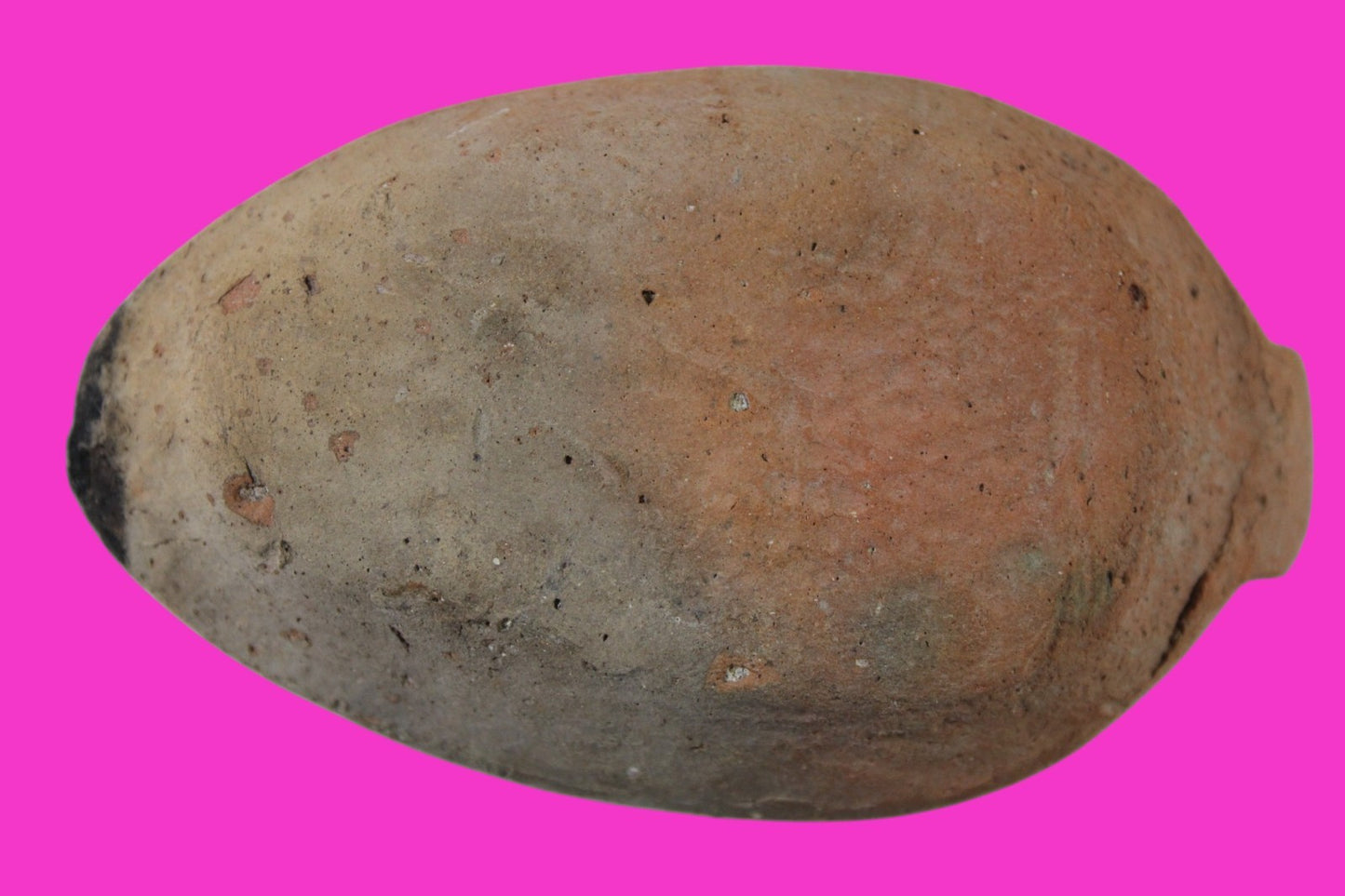 Ancient Holy Land Oil Lamp Artifact Jesus Christ Home Israel 300-600 AD COA 81