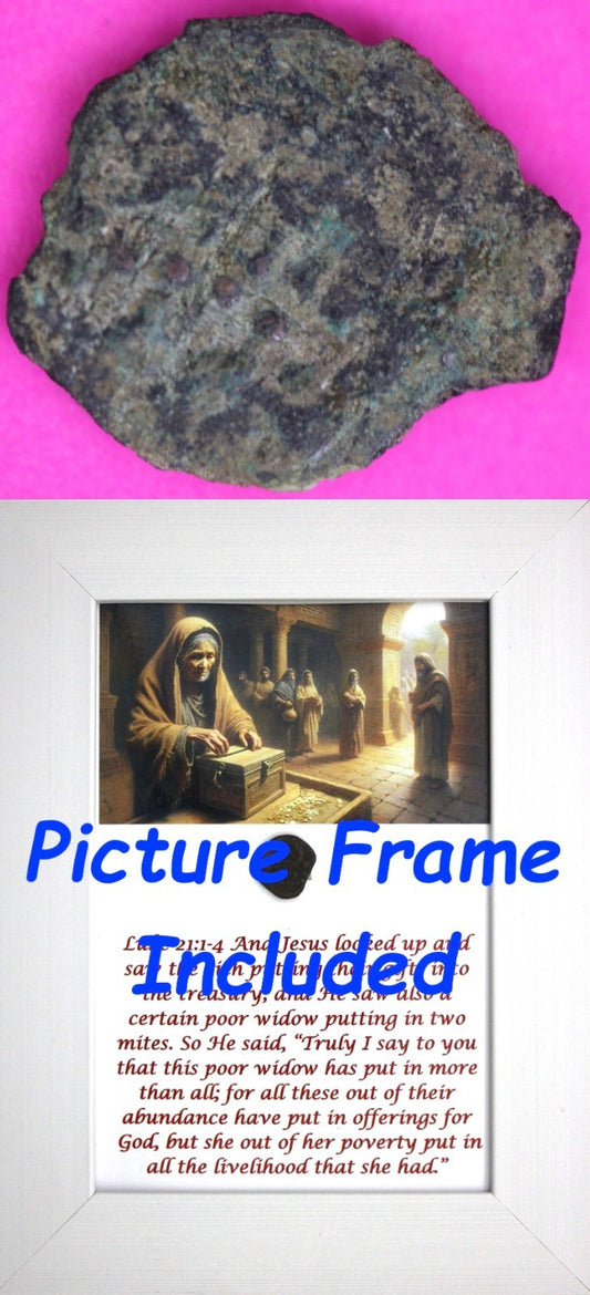 Widows Mite Coin Holy Land Artifact Jesus Christ Lifetime Display Frame COA 303