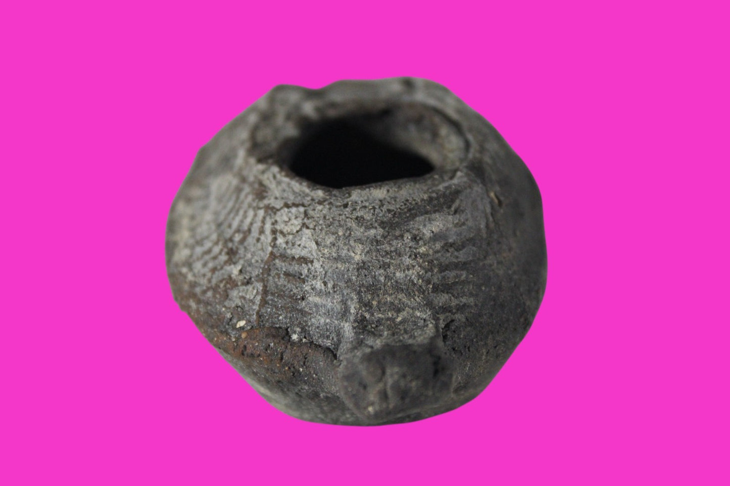 Ancient Holy Land Oil Lamp Artifact Jesus Christ Home Israel 300-600 AD COA 73