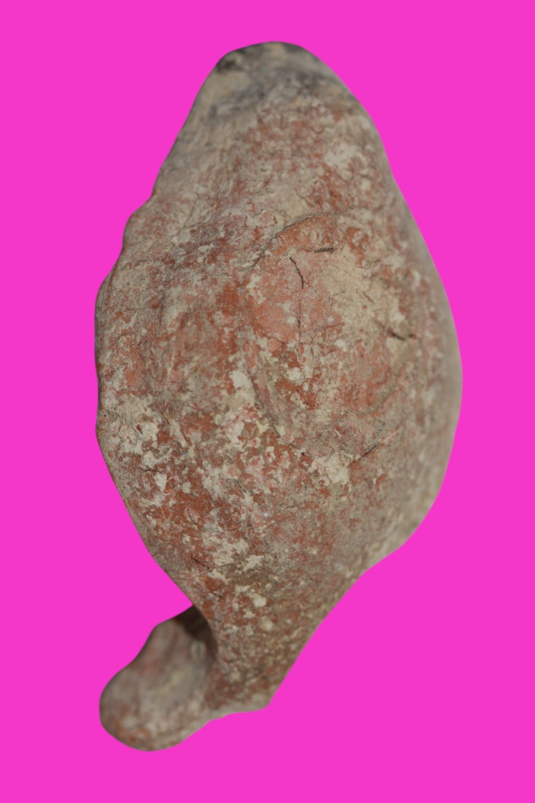 Ancient Holy Land Oil Lamp Artifact Hesus Christ Homeland 100-400 AD COA J108