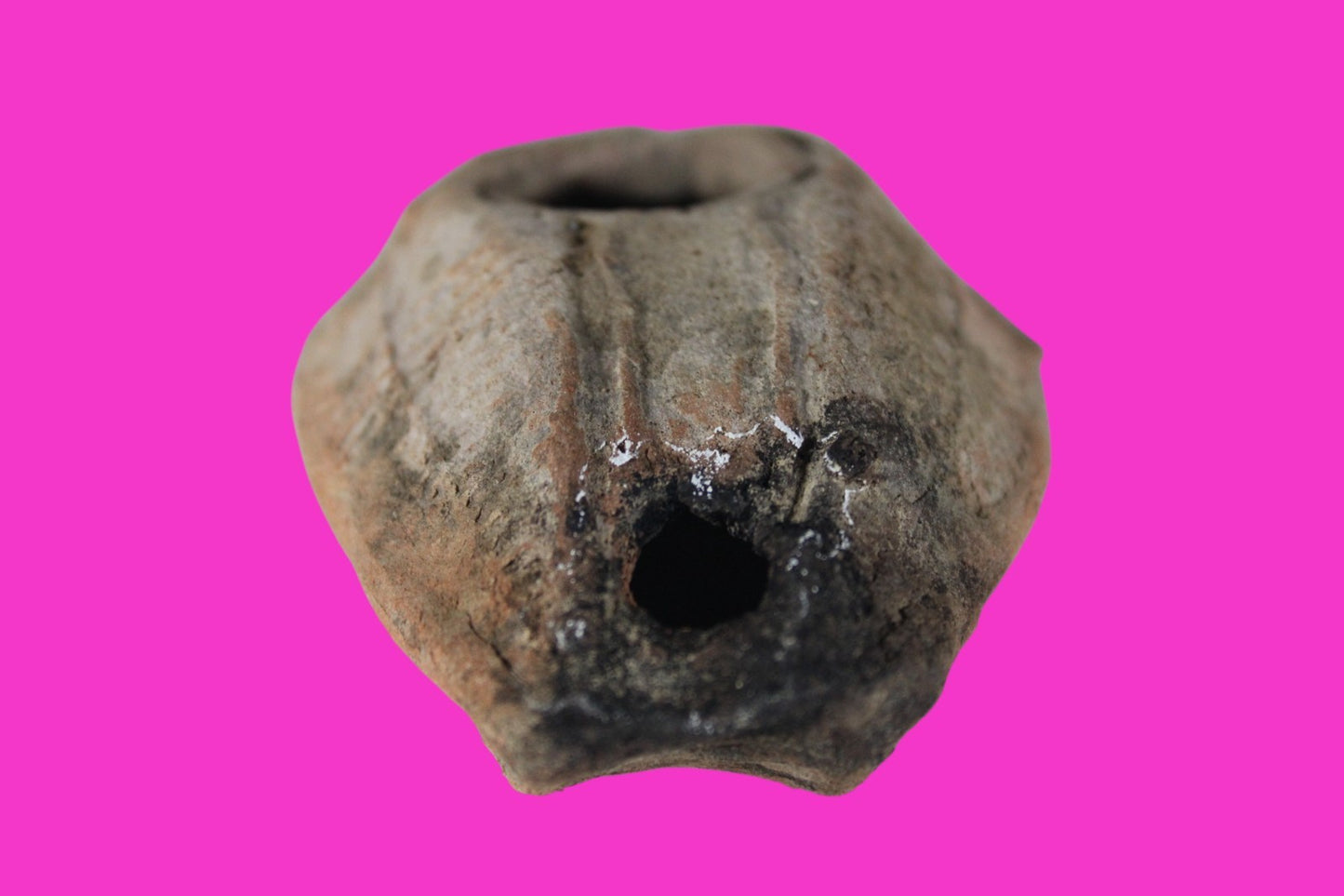 Ancient Holy Land Oil Lamp Artifact Jesus Christ Home 300-600 AD Israel COA 96