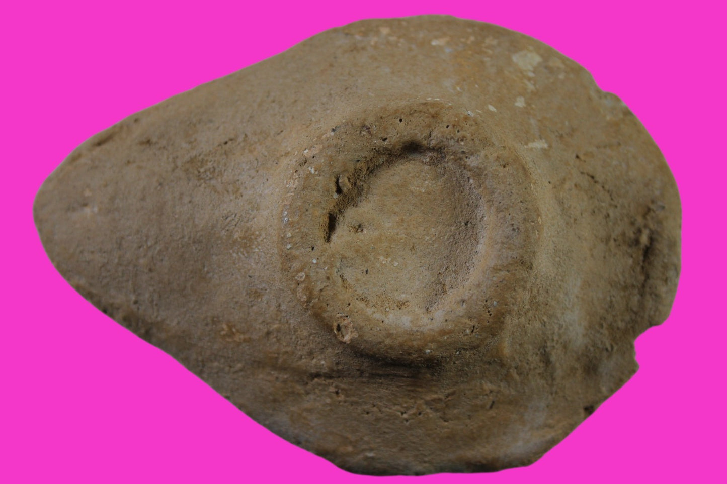 Holy Land Oil Lamp Ancient Artifact Jesus Christ Homeland - 400 AD COA L10