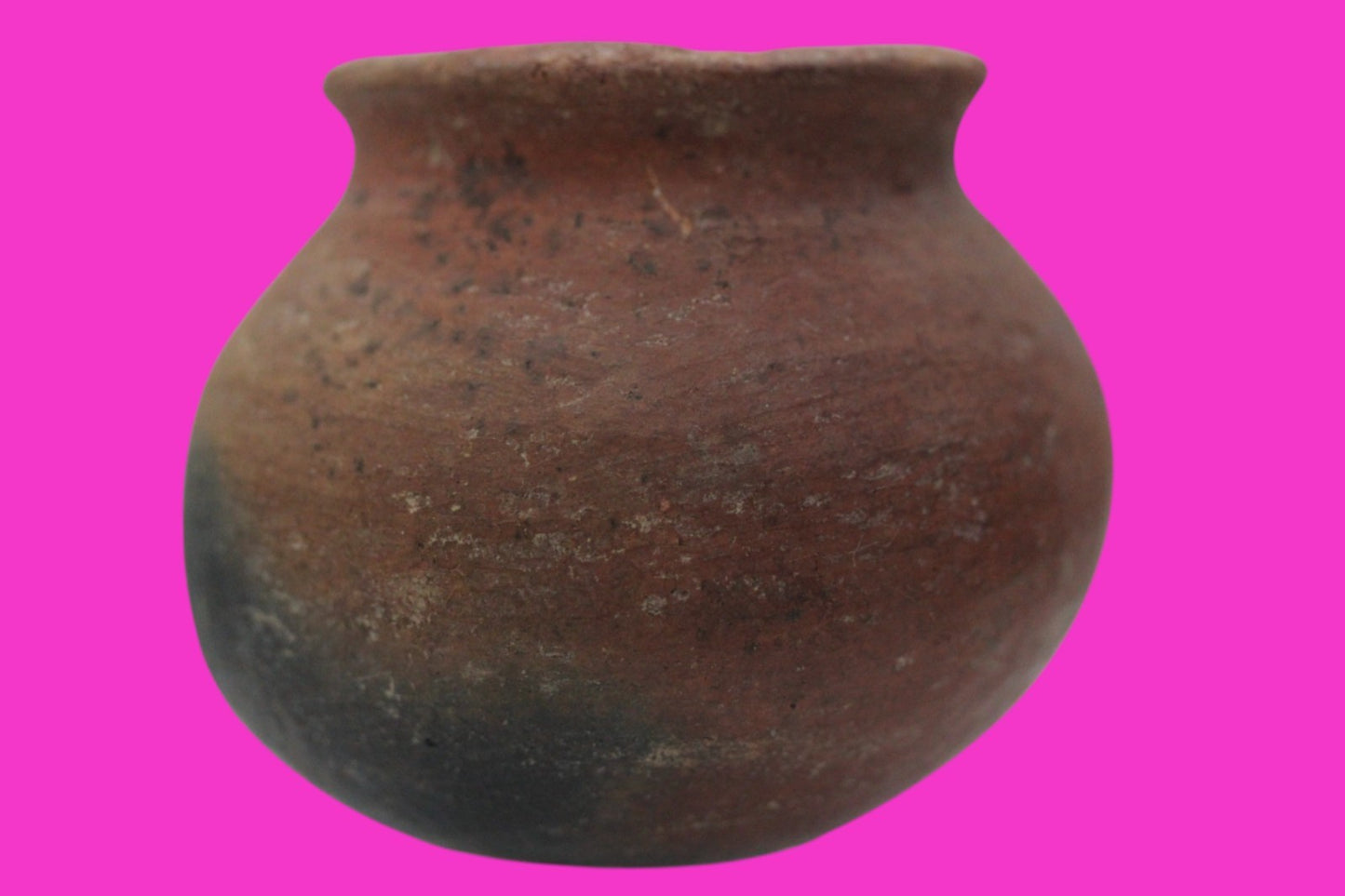 Pre Columbian Authentic Artifact Colima Cooking Pot Mexico 200BC - 200AD COA J14