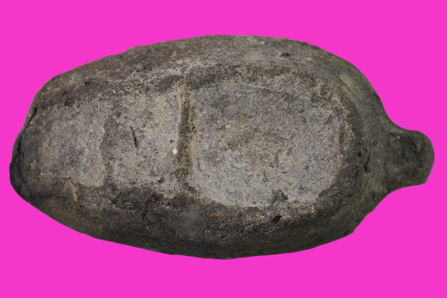 Ancient Holy Land Oil Lamp Artifact Jesus Christ Home Israel 300-600 AD COA 73