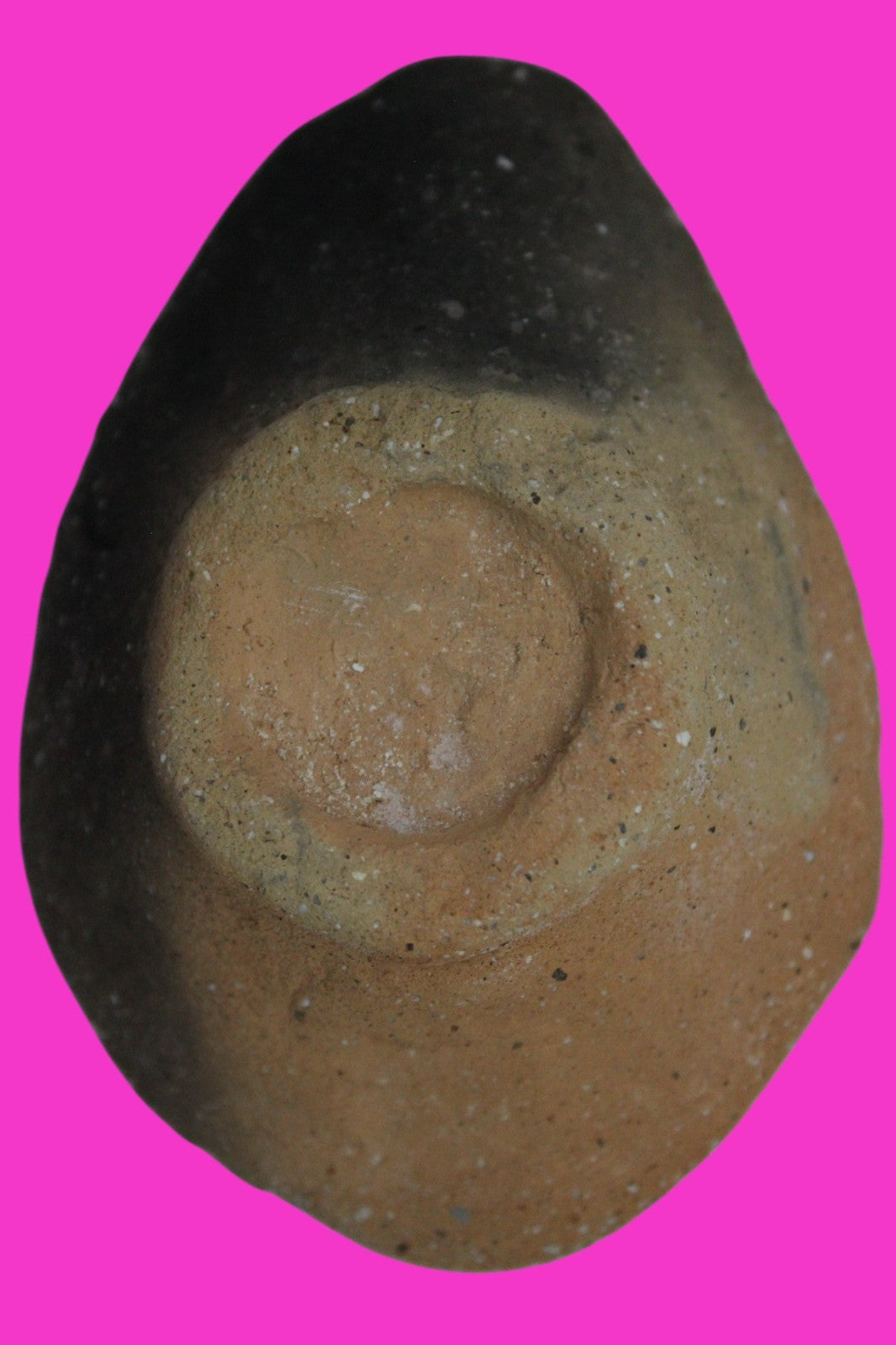 Ancient Holy Land Oil Lamp Artifact  From Jesus Christ Homeland 400-600AD COA 34